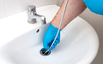 5 Gross Things That Might Be Lurking In Your Drain