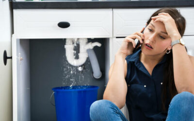 Don’t Let a Plumbing Disaster Ruin Your Day: Tips for Quick Repairs