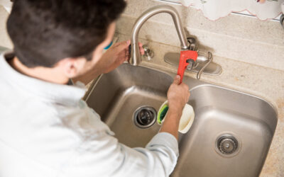The Essential Guide to Water Leak Detection: Protecting Your Home and Wallet